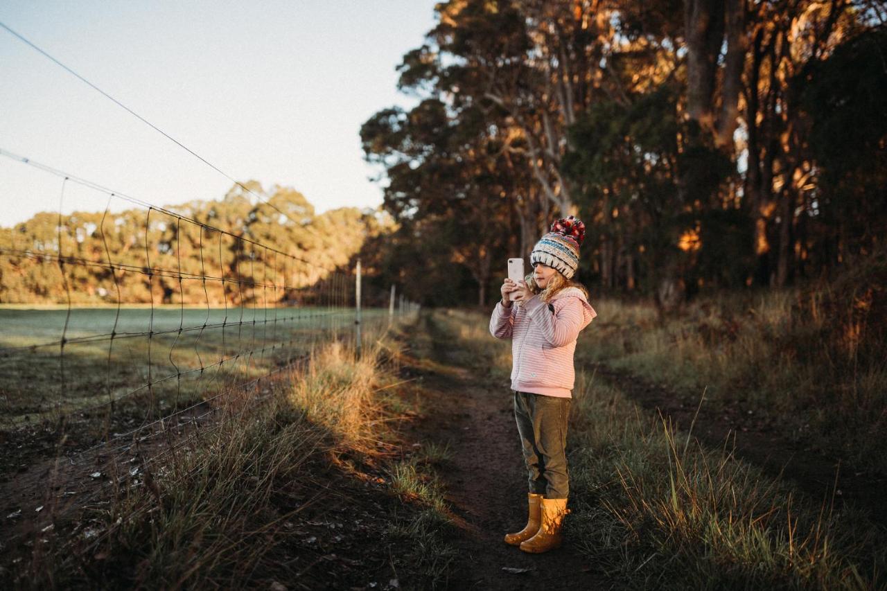 Margaret River Holiday Cottages Εξωτερικό φωτογραφία