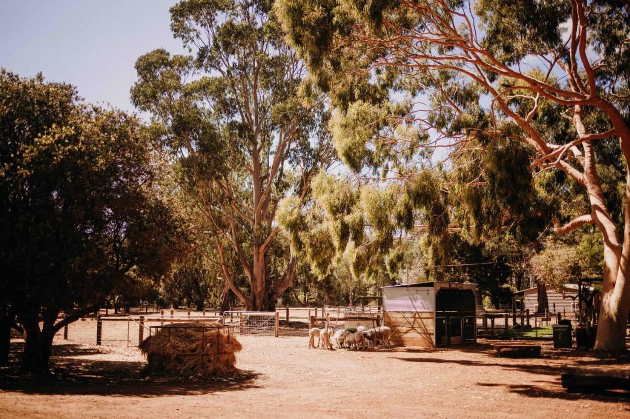 Margaret River Holiday Cottages Εξωτερικό φωτογραφία