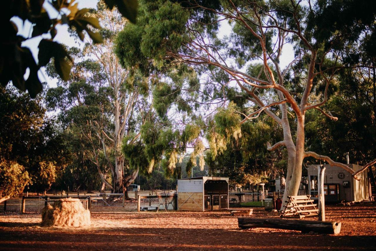 Margaret River Holiday Cottages Εξωτερικό φωτογραφία