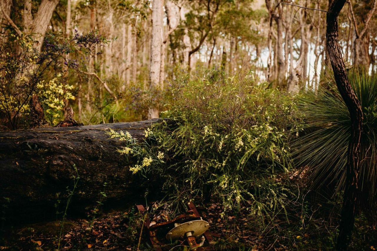 Margaret River Holiday Cottages Εξωτερικό φωτογραφία